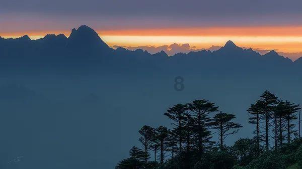 “太岁”究竟为何物？他的存在是不是违背了地球的生命规律？