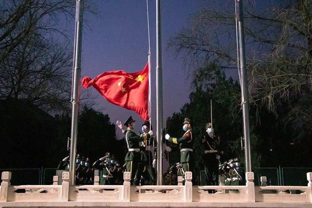 飞机撞上鸟群，客舱充满焦味游客失声尖叫，谁该为这事“买单”？